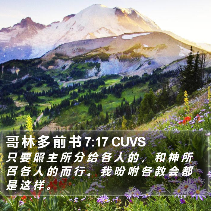 哥 林 多 前 书 7:17 CUVS Bible Study