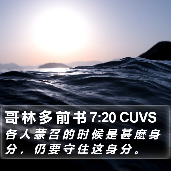 哥 林 多 前 书 7:20 CUVS Bible Study