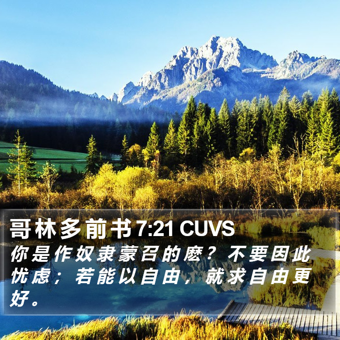 哥 林 多 前 书 7:21 CUVS Bible Study