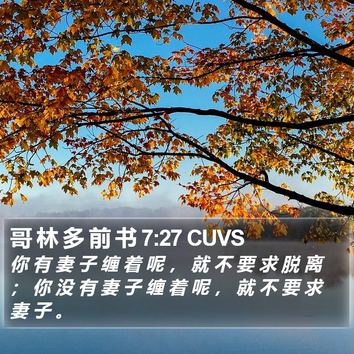哥 林 多 前 书 7:27 CUVS Bible Study