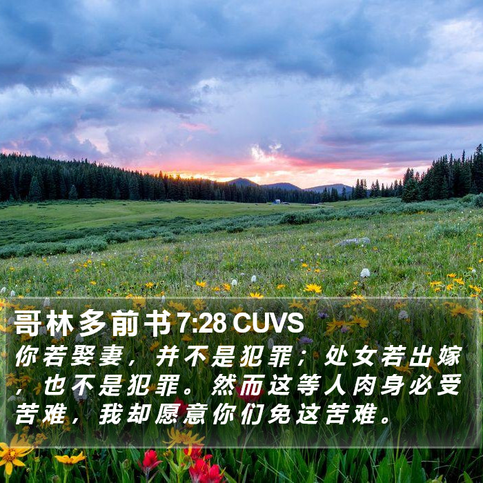 哥 林 多 前 书 7:28 CUVS Bible Study