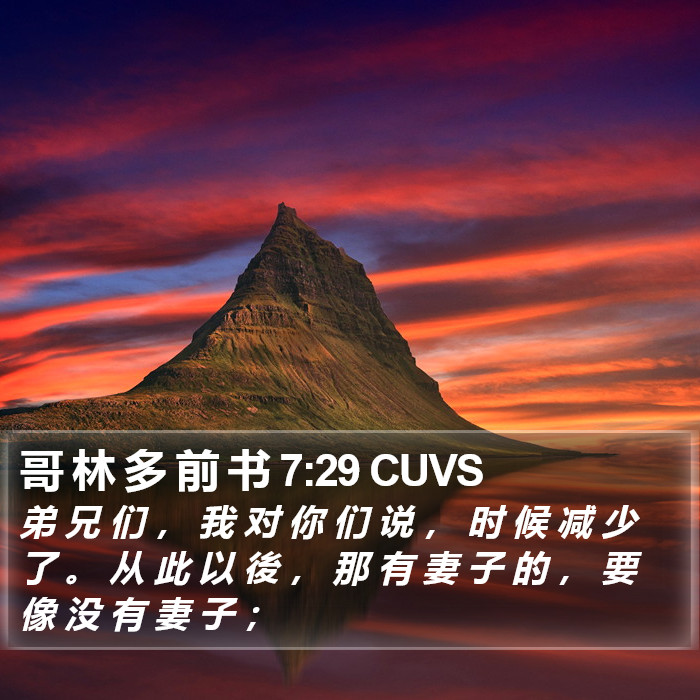 哥 林 多 前 书 7:29 CUVS Bible Study