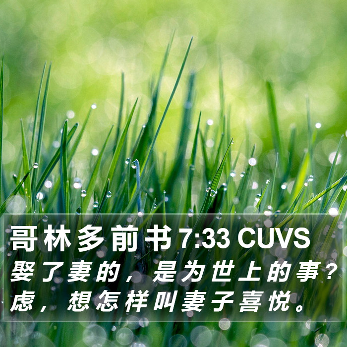哥 林 多 前 书 7:33 CUVS Bible Study