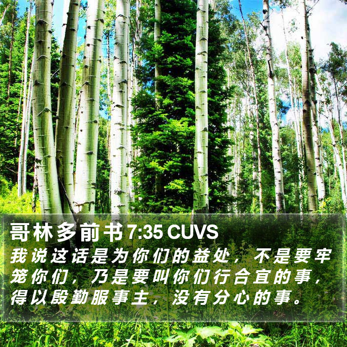 哥 林 多 前 书 7:35 CUVS Bible Study