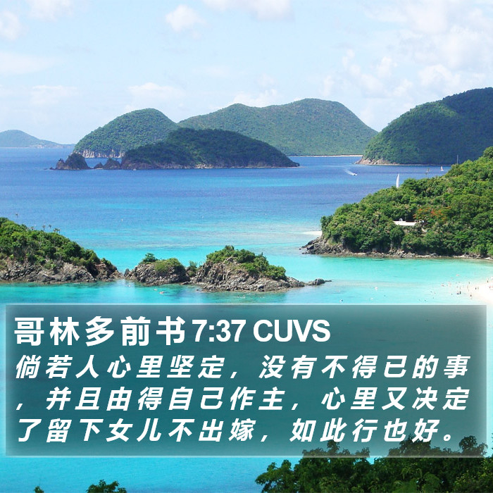 哥 林 多 前 书 7:37 CUVS Bible Study