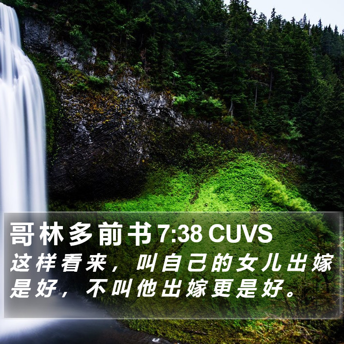 哥 林 多 前 书 7:38 CUVS Bible Study
