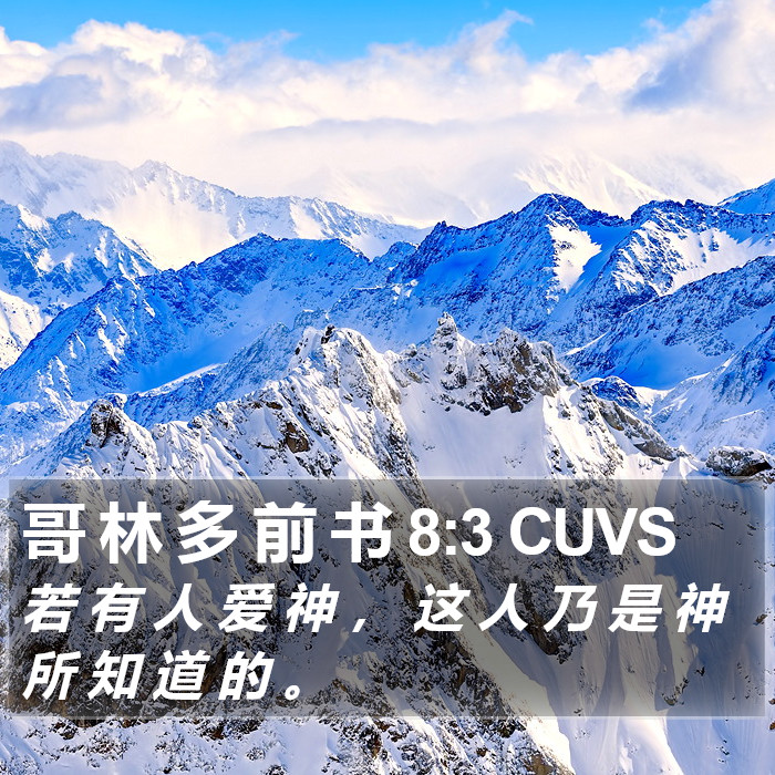 哥 林 多 前 书 8:3 CUVS Bible Study
