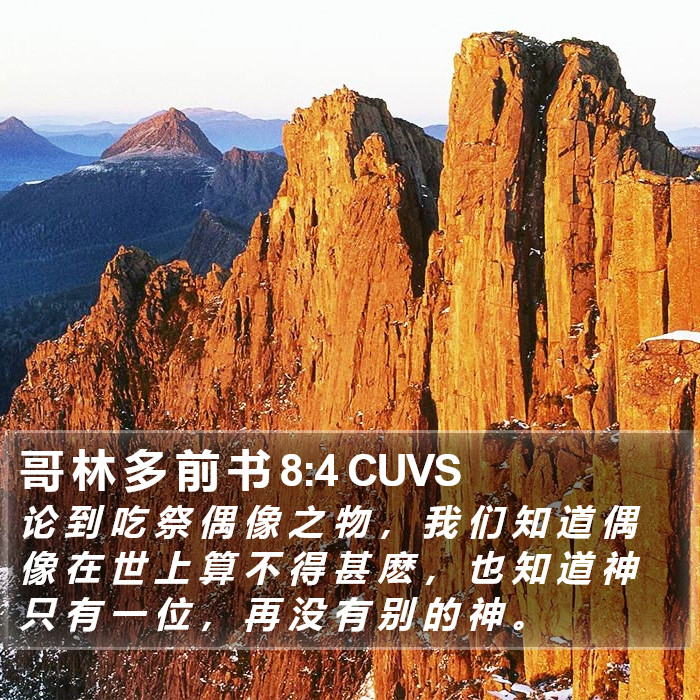 哥 林 多 前 书 8:4 CUVS Bible Study