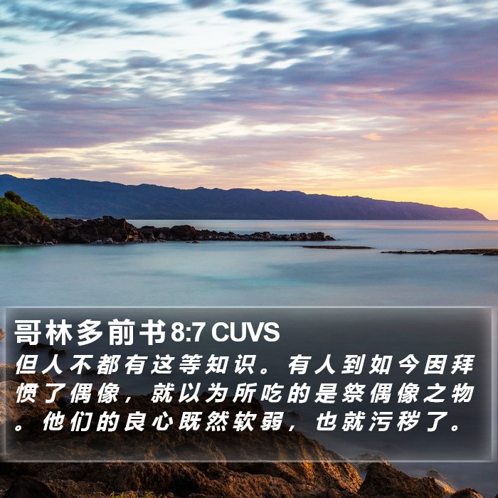 哥 林 多 前 书 8:7 CUVS Bible Study
