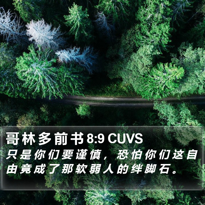 哥 林 多 前 书 8:9 CUVS Bible Study