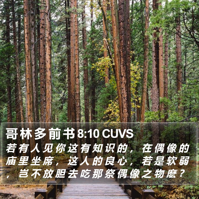 哥 林 多 前 书 8:10 CUVS Bible Study