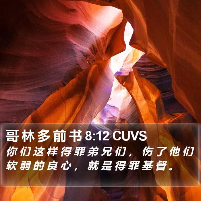哥 林 多 前 书 8:12 CUVS Bible Study
