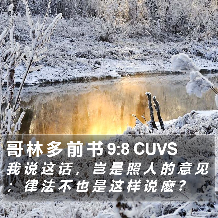 哥 林 多 前 书 9:8 CUVS Bible Study