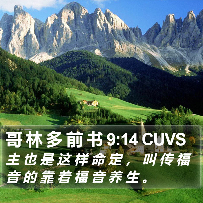 哥 林 多 前 书 9:14 CUVS Bible Study