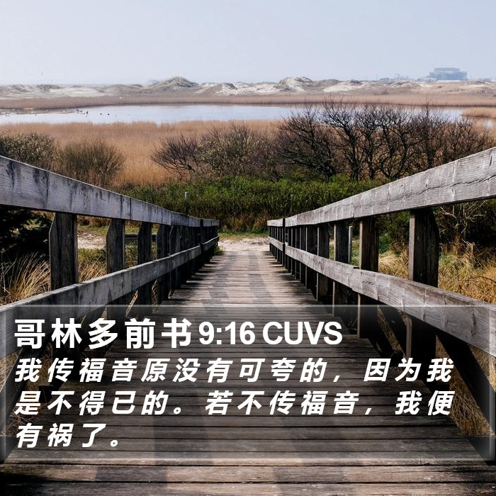 哥 林 多 前 书 9:16 CUVS Bible Study