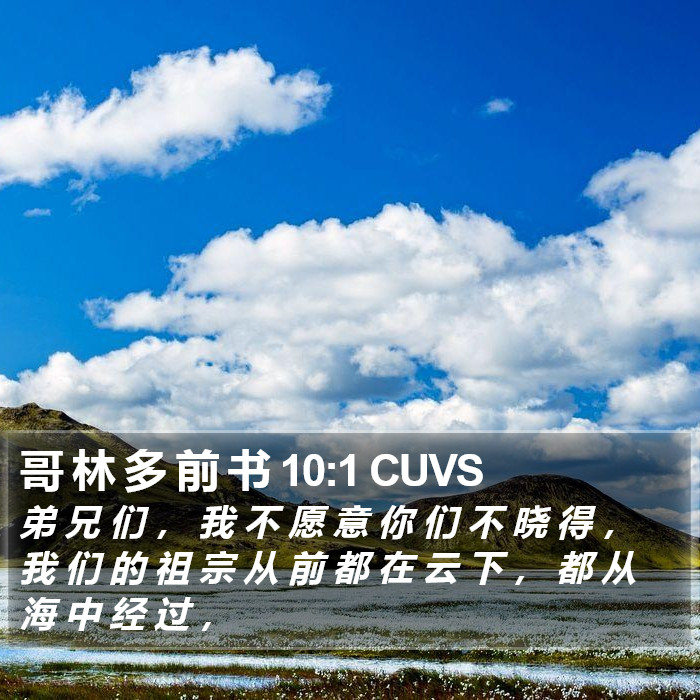 哥 林 多 前 书 10:1 CUVS Bible Study