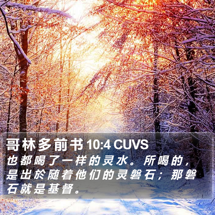 哥 林 多 前 书 10:4 CUVS Bible Study