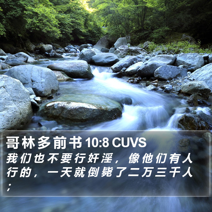 哥 林 多 前 书 10:8 CUVS Bible Study