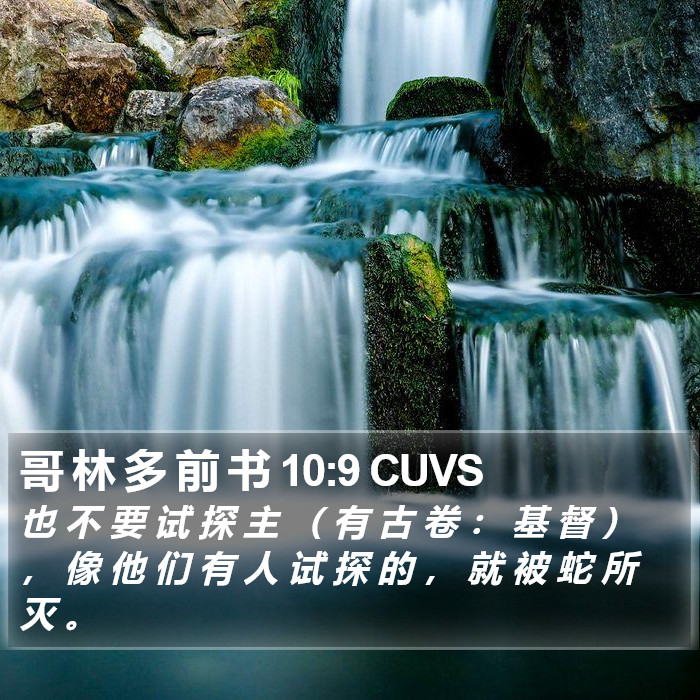 哥 林 多 前 书 10:9 CUVS Bible Study