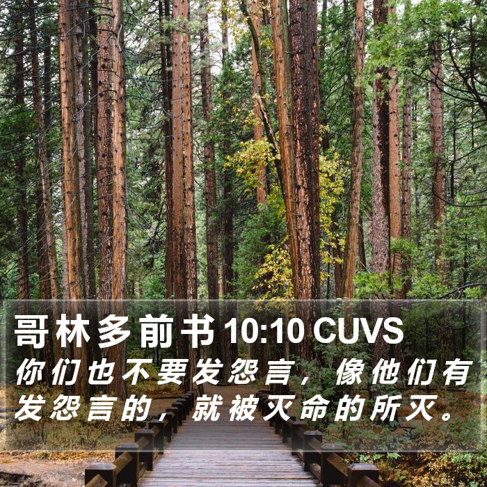 哥 林 多 前 书 10:10 CUVS Bible Study