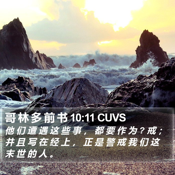 哥 林 多 前 书 10:11 CUVS Bible Study