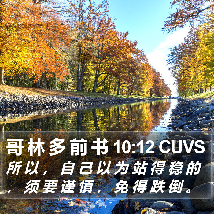 哥 林 多 前 书 10:12 CUVS Bible Study