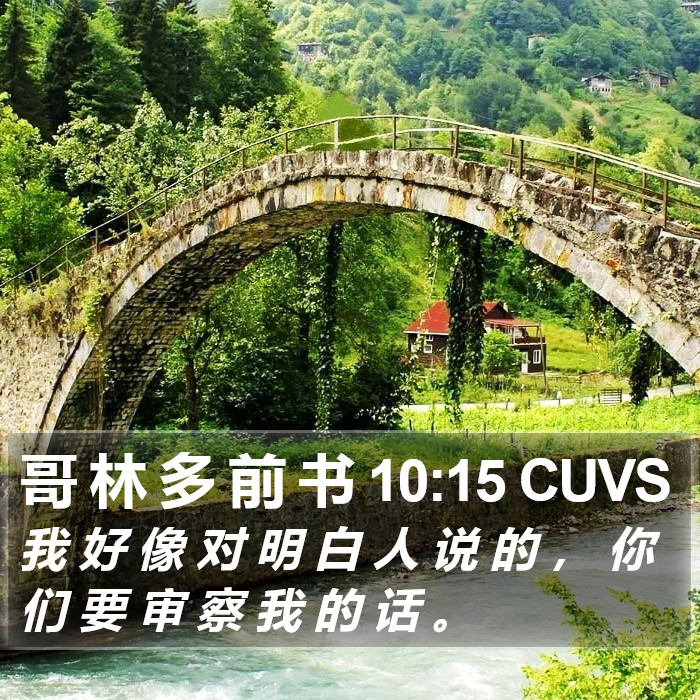 哥 林 多 前 书 10:15 CUVS Bible Study