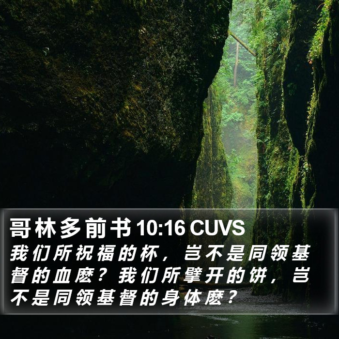 哥 林 多 前 书 10:16 CUVS Bible Study