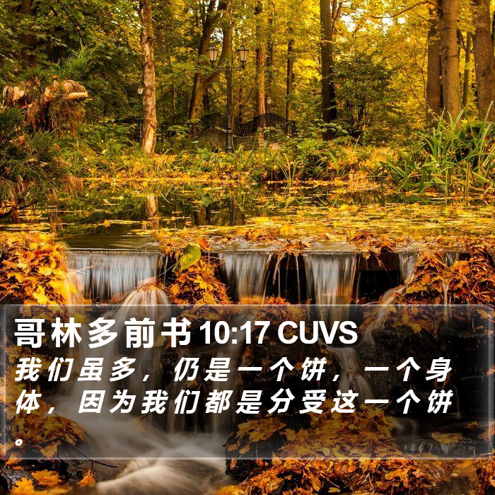 哥 林 多 前 书 10:17 CUVS Bible Study