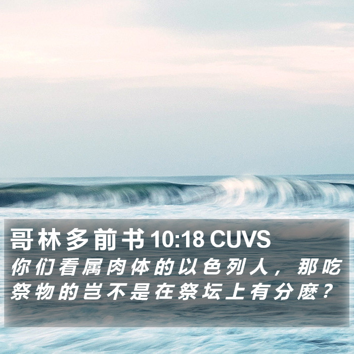 哥 林 多 前 书 10:18 CUVS Bible Study