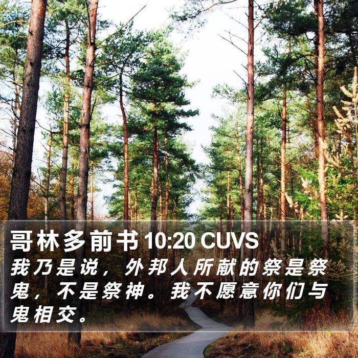 哥 林 多 前 书 10:20 CUVS Bible Study