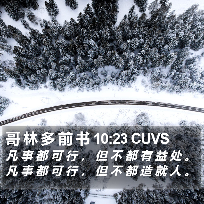 哥 林 多 前 书 10:23 CUVS Bible Study