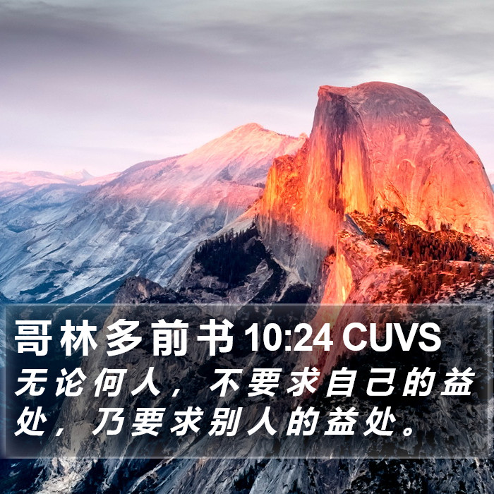 哥 林 多 前 书 10:24 CUVS Bible Study