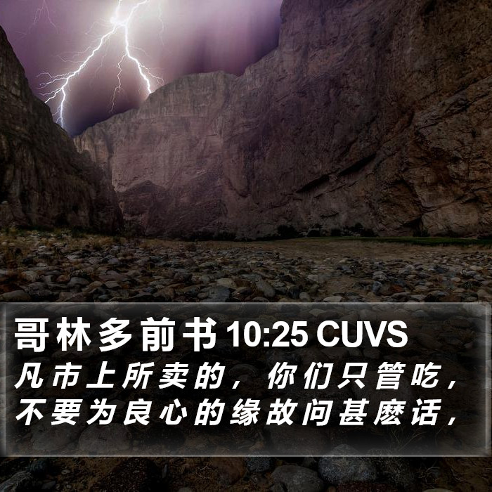 哥 林 多 前 书 10:25 CUVS Bible Study