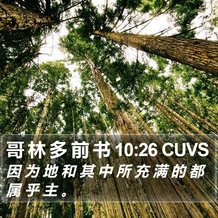 哥 林 多 前 书 10:26 CUVS Bible Study