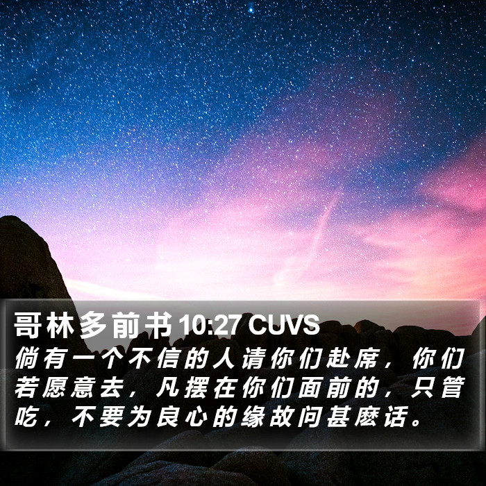 哥 林 多 前 书 10:27 CUVS Bible Study