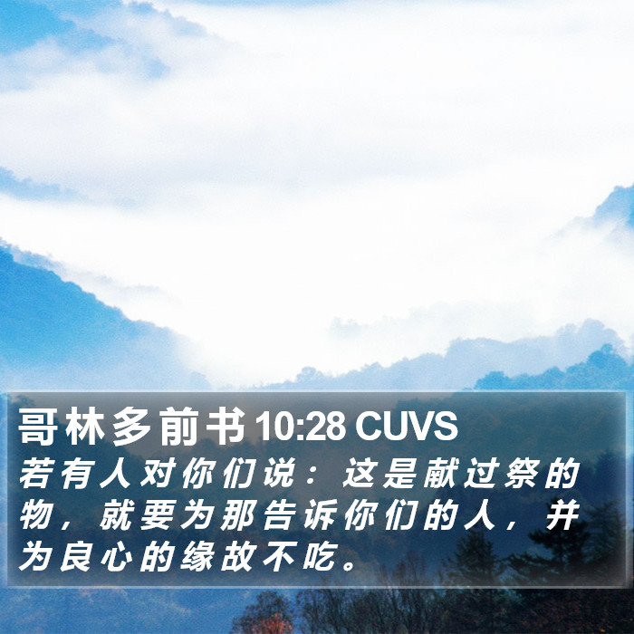 哥 林 多 前 书 10:28 CUVS Bible Study