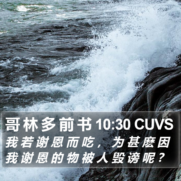 哥 林 多 前 书 10:30 CUVS Bible Study