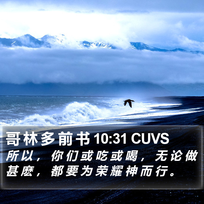 哥 林 多 前 书 10:31 CUVS Bible Study