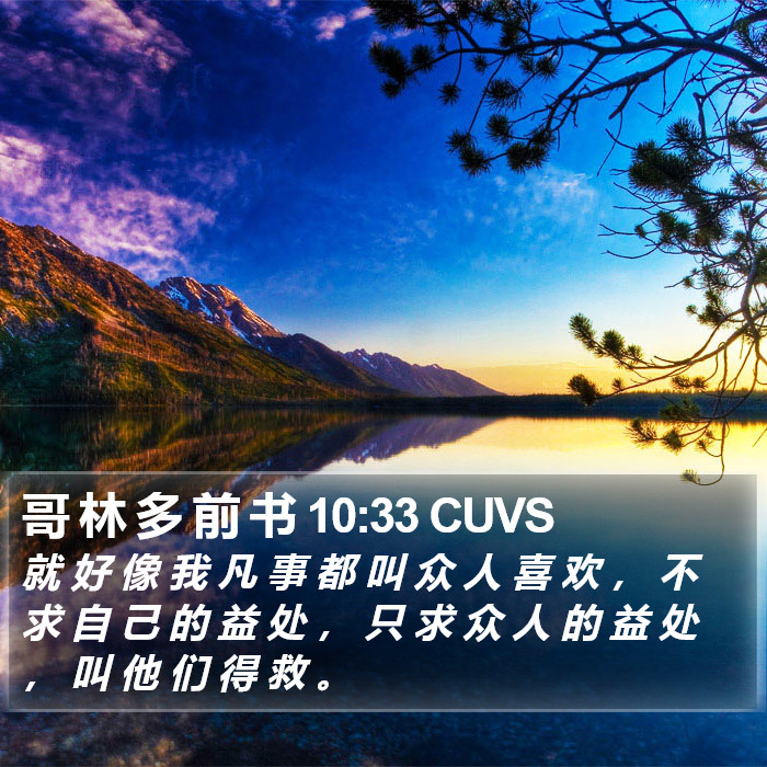 哥 林 多 前 书 10:33 CUVS Bible Study