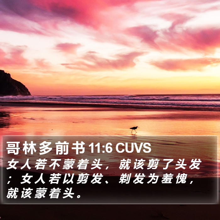 哥 林 多 前 书 11:6 CUVS Bible Study