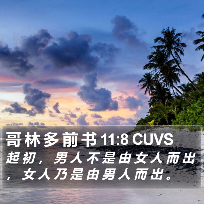 哥 林 多 前 书 11:8 CUVS Bible Study