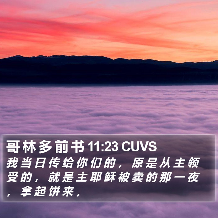 哥 林 多 前 书 11:23 CUVS Bible Study