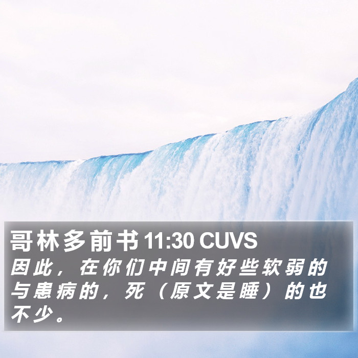 哥 林 多 前 书 11:30 CUVS Bible Study