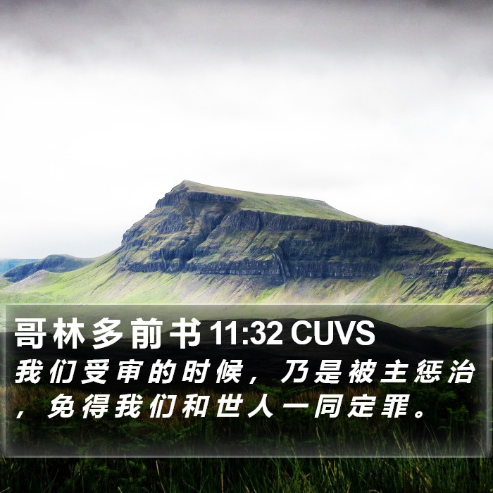 哥 林 多 前 书 11:32 CUVS Bible Study