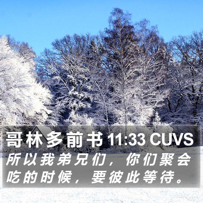 哥 林 多 前 书 11:33 CUVS Bible Study
