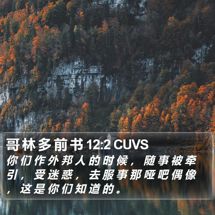 哥 林 多 前 书 12:2 CUVS Bible Study