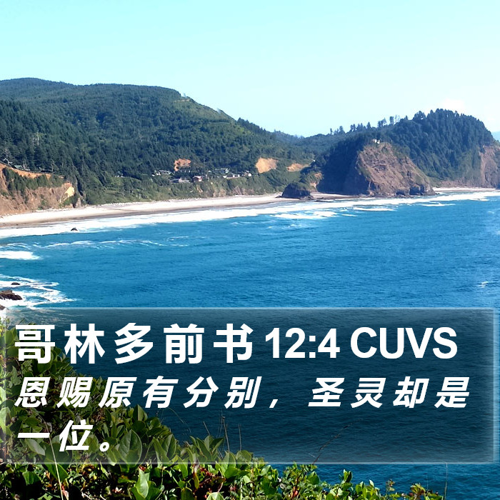 哥 林 多 前 书 12:4 CUVS Bible Study