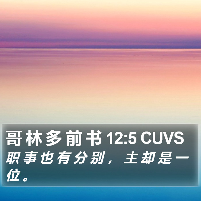 哥 林 多 前 书 12:5 CUVS Bible Study