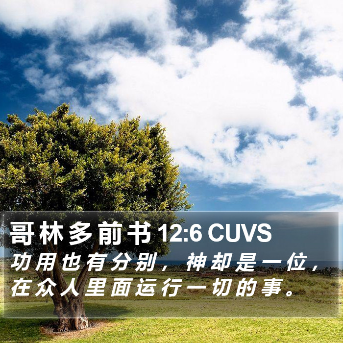 哥 林 多 前 书 12:6 CUVS Bible Study